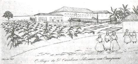 Colegio Florence: Desenho de Hrcules Florence